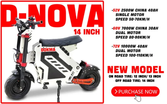 Dokma 13-дюймовые дорожные шины 52 В 2500 Вт по дешевой цене OEM электрический скутер для взрослых