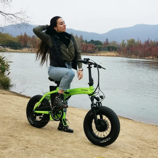 19-дюймовый 7-скоростной 4,0-дюймовый электрический велосипед Ebike для подростков с толстыми шинами OEM